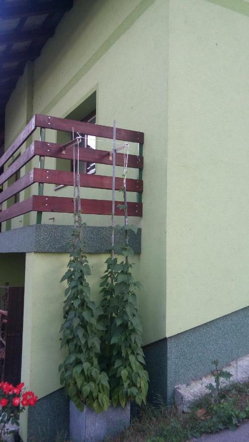 Breg pri Borovnici Apartma Juha - מראה חיצוני תמונה