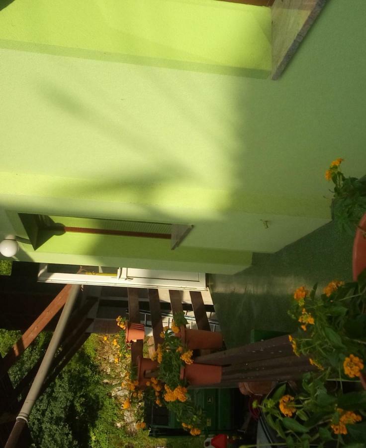 Breg pri Borovnici Apartma Juha - מראה חיצוני תמונה