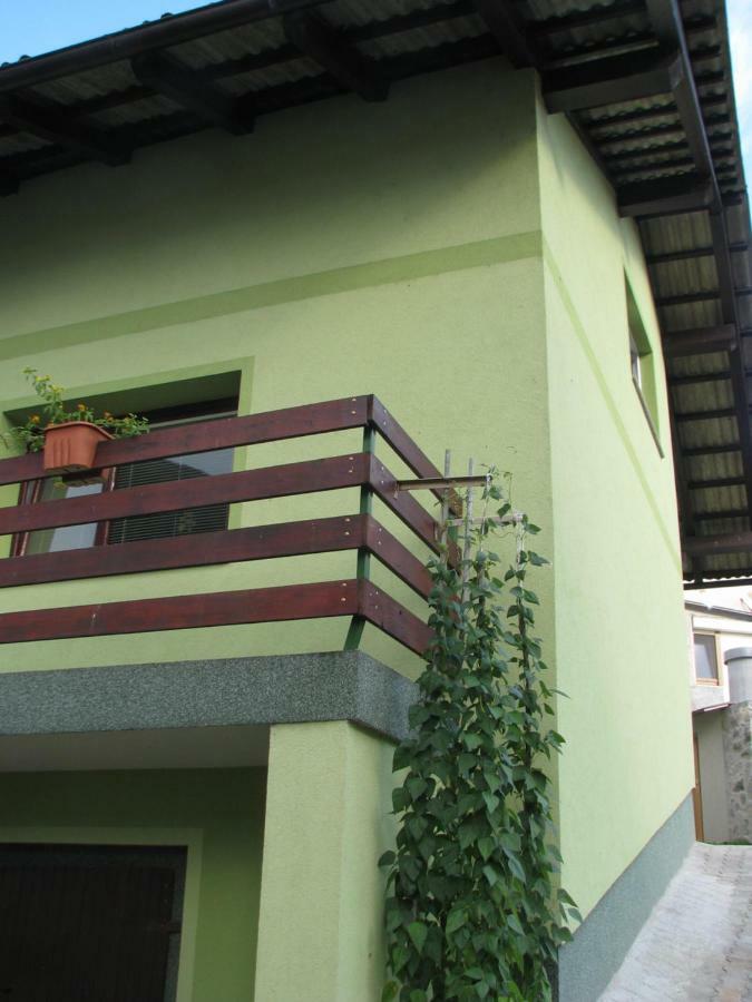 Breg pri Borovnici Apartma Juha - מראה חיצוני תמונה